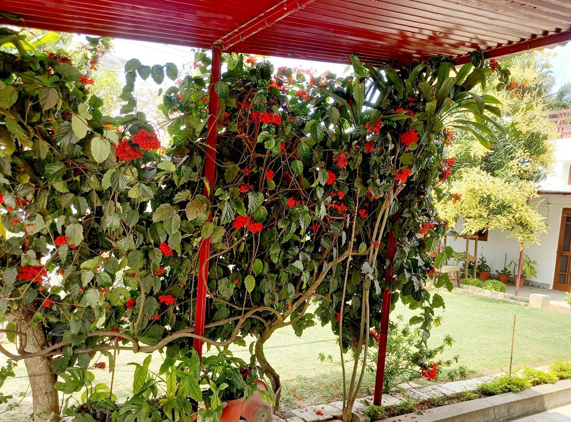Bed and Breakfast Garden View Residency Лакхнау Экстерьер фото